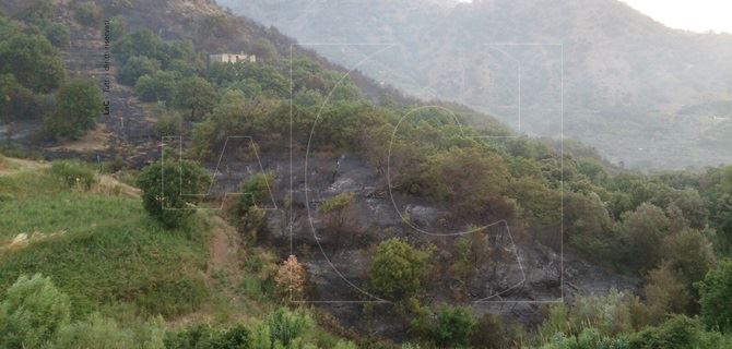Cinquanta ettari di macchia mediterranea in fumo a Petrizzi 