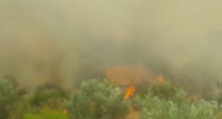 Il fuoco aggredisce Pianette di Rovito, popolazioni nel panico (VIDEO)