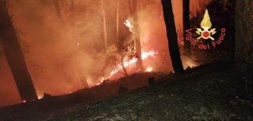 Catanzaro, incendio alla pineta di Siano durante la notte (FOTO)