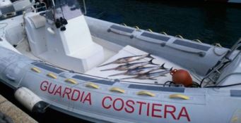 Sequestrati otto quintali di prodotto ittico in Calabria