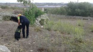 Castrovillari, anziano scomparso: continuano le ricerche