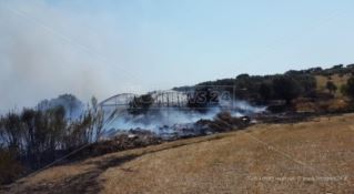 Vasto incendio a Davoli, in pericolo numerose aziende agricole