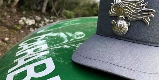 Un berretto dei carabinieri forestali