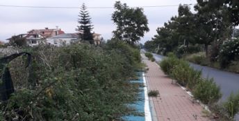 Quegli strani traffici di rifiuti a Lamezia Terme