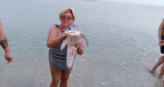 Piccolo squalo tra i bagnanti a Soverato tra selfie e polemiche