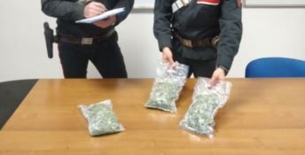 Fermati dai carabinieri gettano marijuana dal finestrino: arrestati