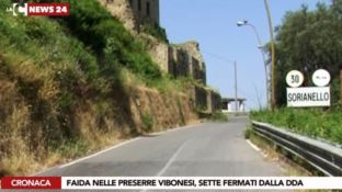 ‘Ndrangheta: operazione “Black Widows”, ecco le accuse contestate - VIDEO