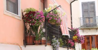 Crotone, ritorna l'appuntamento “Centro storico in fiore”