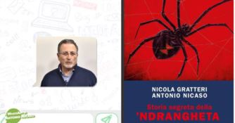 Storia segreta della 'ndrangheta, il WhatsApp di Antonio Nicaso