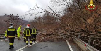 Smottamento a San Fili, chiusa la statale 107 “Silana-Crotonese”