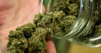 Oltre 10 chili di marijuana sequestrati nella Locride