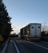 Albero cade sulla statale 106, traffico in tilt tra Rossano e Mirto Crosia