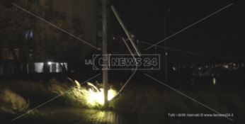 Maltempo a Catanzaro, il forte vento abbatte alberi e pali della luce (VIDEO)