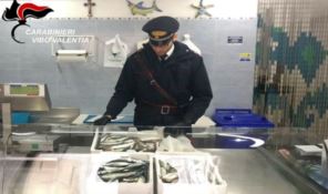 Santa Domenica di Ricadi, sequestrati 11 chili di pesce