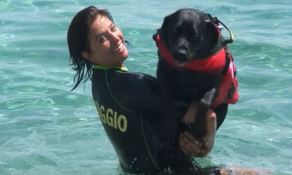 A Gizzeria una delle quattro spiagge dog friendly