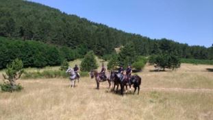 Carabinieri a cavallo nel periodo estivo nel comprensorio di Serra San Bruno