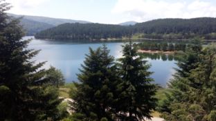 SPORT E TURISMO |  A Lorica la Nazionale di canottaggio si allena sul lago Arvo - VIDEO