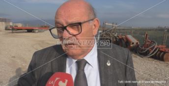 Intimidazione al sindaco di Petilia, tagliati 80 alberi di ulivo: «Vi stanerò» (VIDEO)