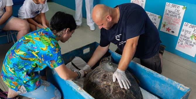 Il Centro recupero tartarughe marine di Brancaleone