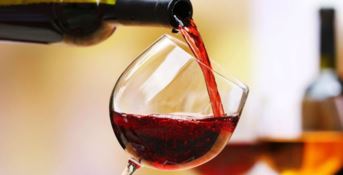 Agricoltura, quale futuro per il vino “doc” di Bivongi?