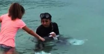 Recuperato il cucciolo di delfino avvistato nel Vibonese