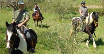Un appello per creare un percorso di turismo equestre nel Catanzarese