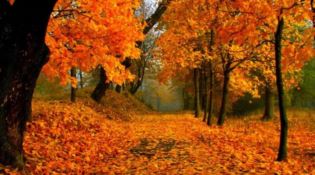 Pazzi per il foliage? Ecco dove vivere l’autunno a colori in Calabria