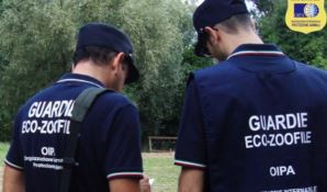 Guardie zoofile, in Calabria al via i corsi di formazione