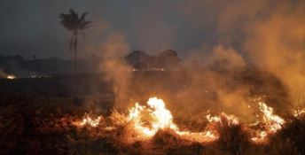 Le fiamme in Amazzonia - Foto Ansa
