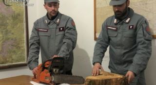Furto di legna in Sila, due persone denunciate
