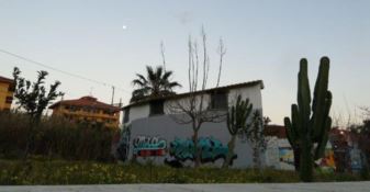 Un gatto morto nel centro sociale di Gallico e la struttura vandalizzata