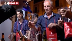 Vicoli di vini