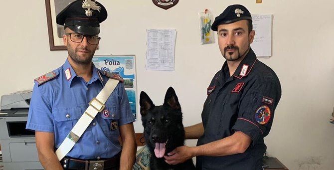 Il cane Enno con i carabinieri che hanno effettuato il sequestro