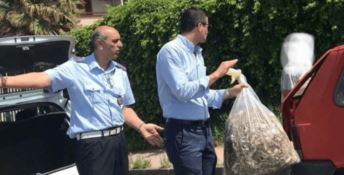 Abbandona rifiuti sul lungomare: sindaco glieli restituisce davanti casa