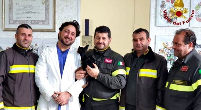 Il cane salvato a Cirò