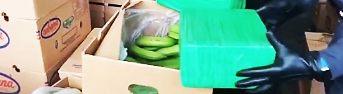 Cocaina tra le banane a Gioia Tauro