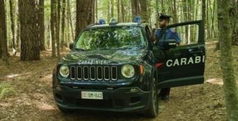 Troppi dispersi a caccia di funghi in Calabria: ecco il decalogo dei carabinieri