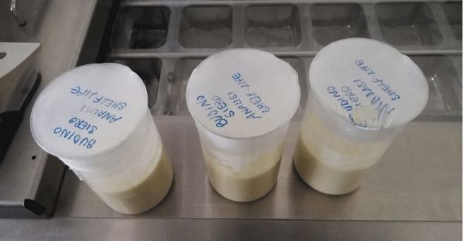Il budino proteico prodotto dal siero del latte all’Unical
