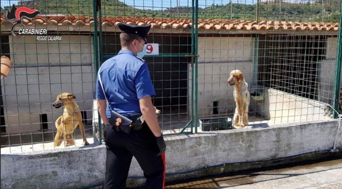 Il canile sequestrato a Sant’Ilario nel Reggino