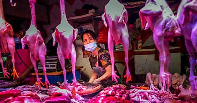Il mercato di Wuhan, foto ansa