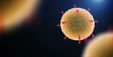 Coronavirus, dall’Olanda il primo farmaco per neutralizzarlo