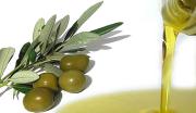 Maxi-truffa sull'olio d'oliva, perquisizioni anche in Calabria