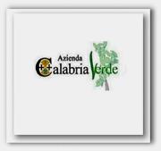 Calabria Verde, si dimette anche il commissario Gallo