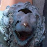 La testa di leone ritrovata ad Africo è di epoca romana (VIDEO)