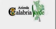 Calabria Verde: i dirigenti lasciano