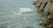 Mare sporco nel vibonese, Guardia Costiera: ‘il depuratore di Tropea è a norma’