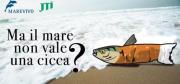 ‘Ma il mare non vale una cicca?’, la campagna a cui ha aderito l’Area Marina protetta ‘Capo Rizzuto’