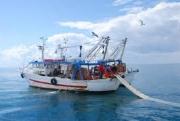 Cetraro: pescatori dispersi e poi ritrovati, scatta la sanzione pecuniaria