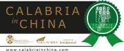 La Calabria verso la Cina: è online il portale