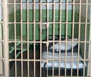 Detenuto scarcerato e risarcito perché la sua cella era troppo piccola